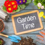 How to prepare a home garden in Gilbert, AZ