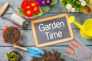 How to prepare a home garden in Gilbert, AZ