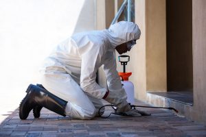 Pest Control Exterminator Insurance Arizona