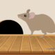 How to prevent rodent damage in your Gilbert, AZ home