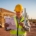 Builder Liability Insurance Arizona: What You Need to Know