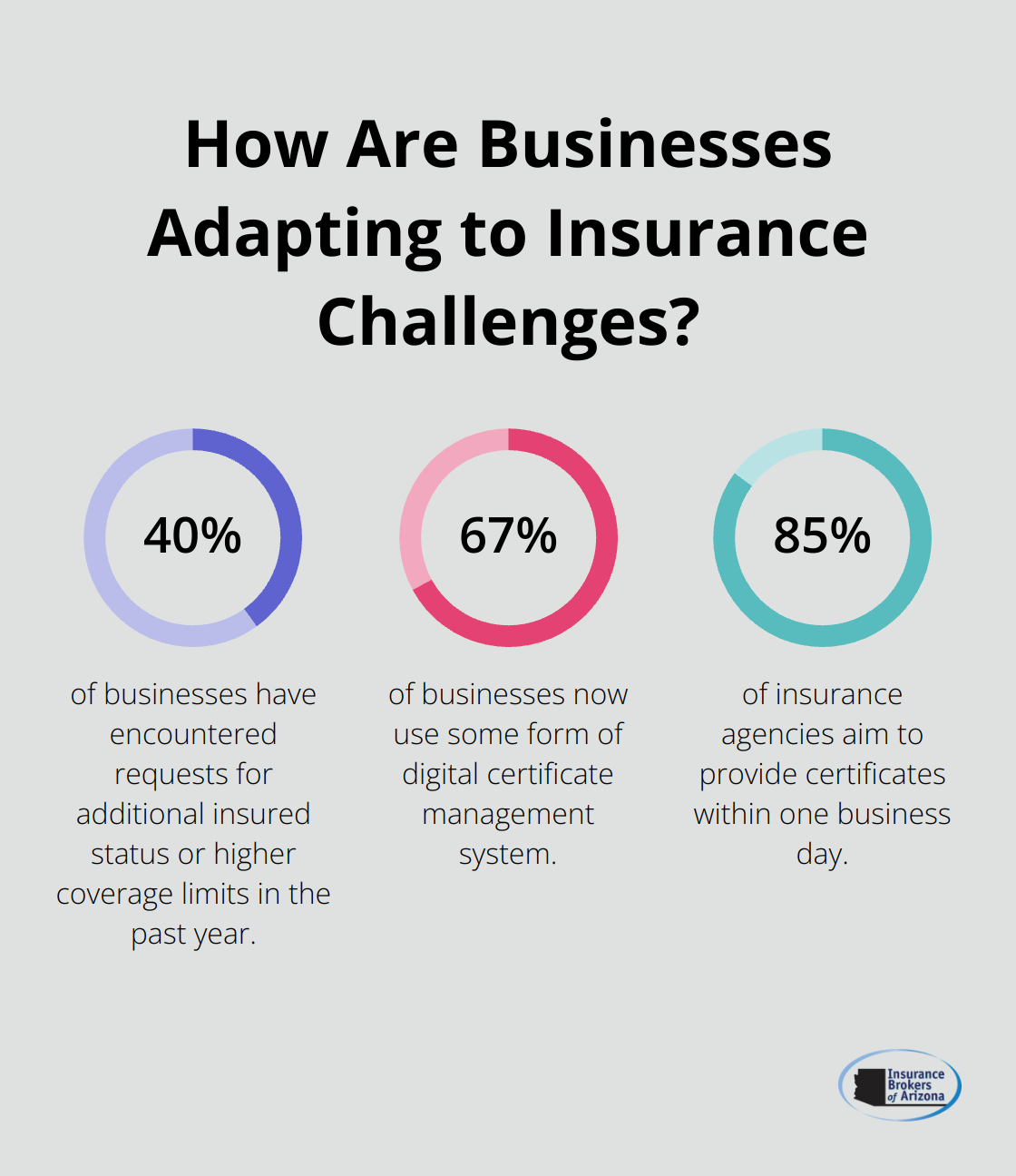Infographic: How Are Businesses Adapting to Insurance Challenges?